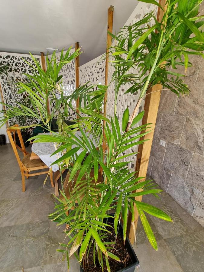 Diamond Luxury Apartment - Haïfa Extérieur photo